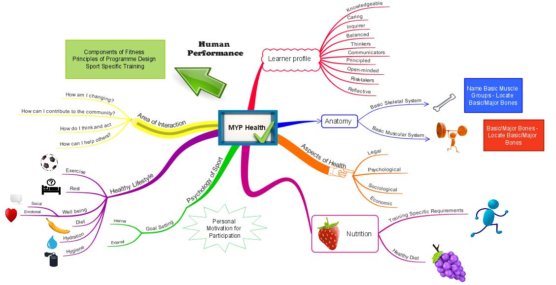 Esc Cv Mindmap Imindmap Mind Map Template Biggerplate Porn Sex Picture 